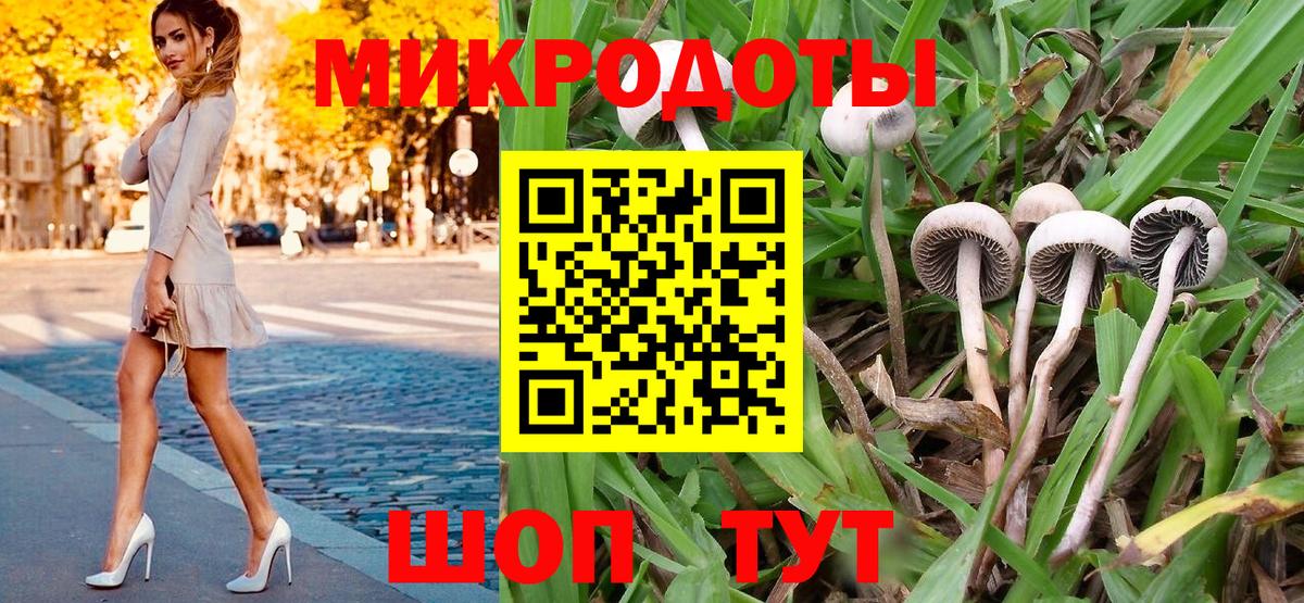 Галлюциногенные грибы Cubensis Советск