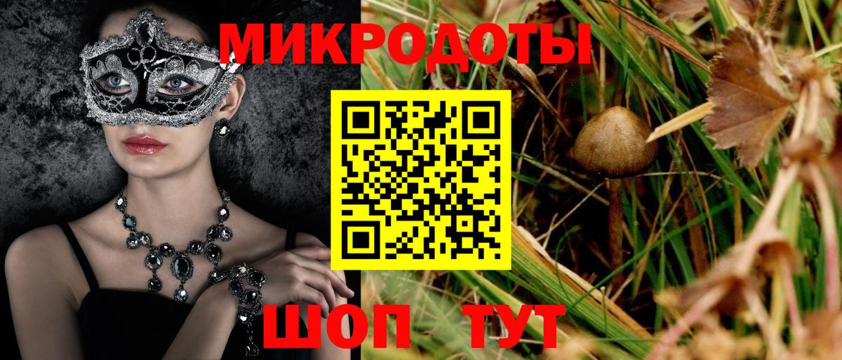 Советск  Псилоцибиновые грибы MAGIC MUSHROOMS  Вход с VPN 